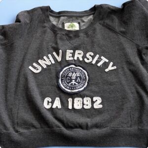 Gray Vintage Boho University of California Sweatshirt
